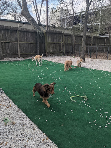 Super Paws: Dog Boarding & Daycare