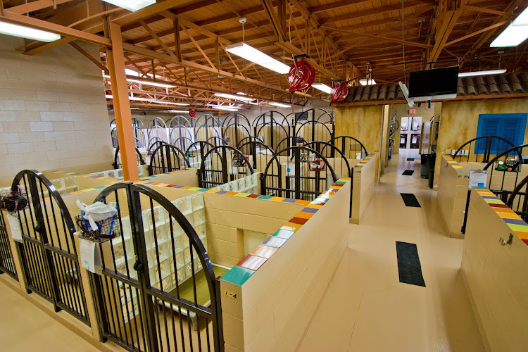 All American Pet Resorts Dallas