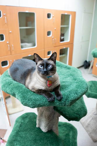 Rover Oaks Pet Resort, Houston