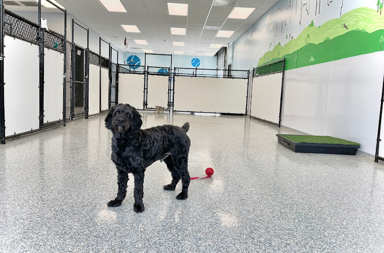 Meadowlake Pet Resort