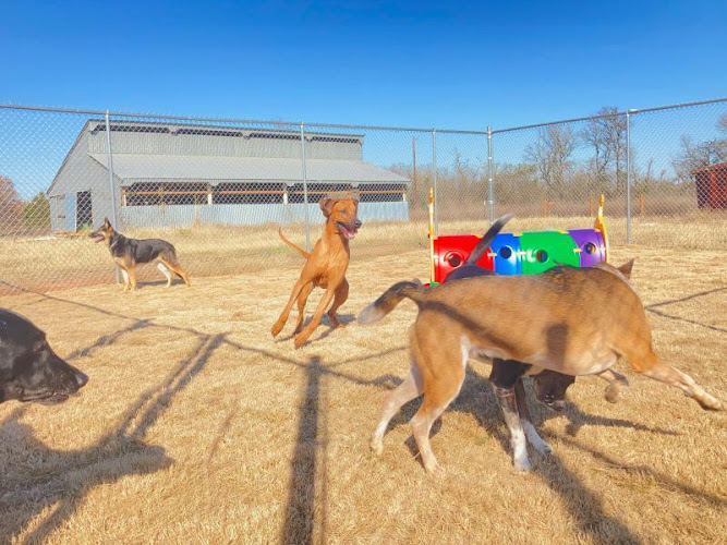 East Side Pet Ranch