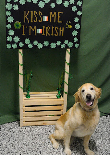 K9 Resorts Luxury Pet Hotel Houston - Energy Corridor