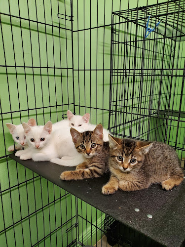 Animal Boarding of Farmers Branch
