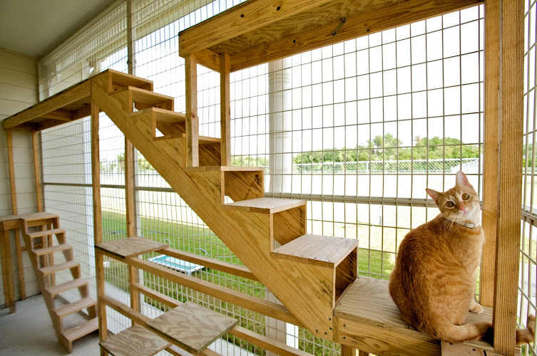 Meadowlake Pet Resort
