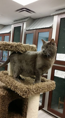 Happy Tails Pet Resort